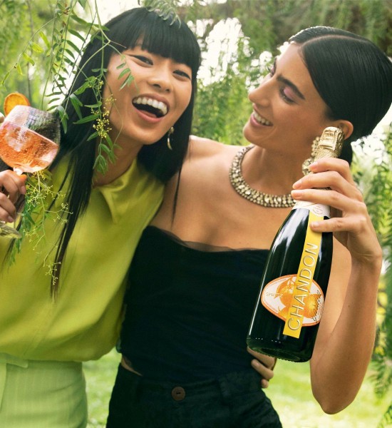 邦楽 Champagne Provocation to Public Artist Chandon Garden Spritz 0.75L | BauturiAlcoolice.ro